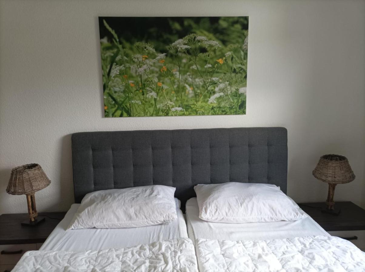 Ferienresidenz Wurmbergblick Apartment เบราน์ลาเกอ ภายนอก รูปภาพ
